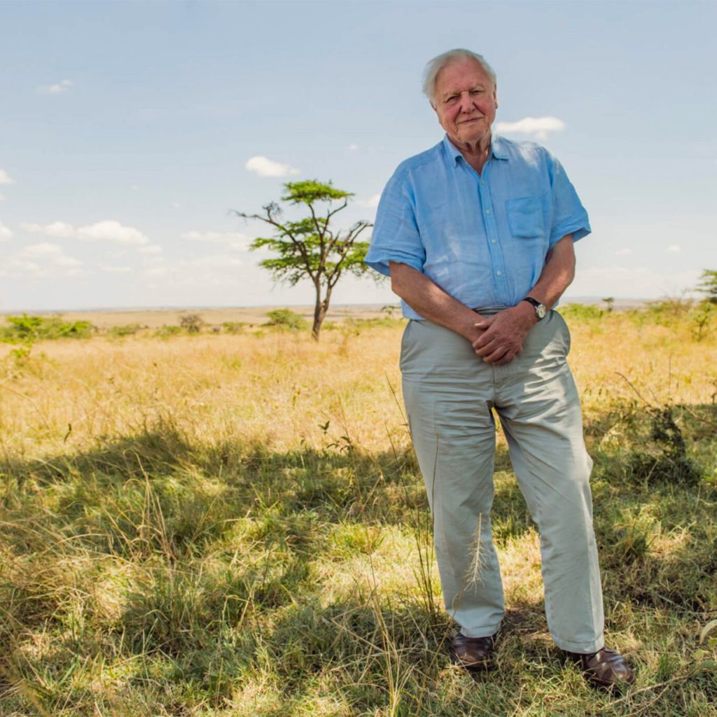 david (2) david attenborough (2)